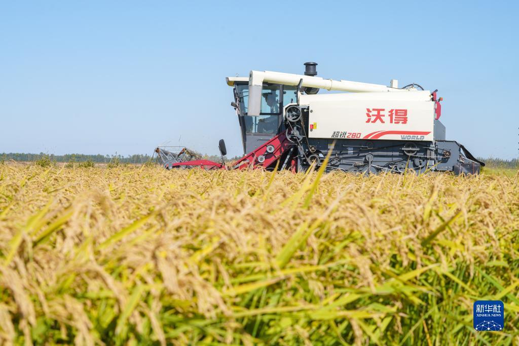 欢乐游戏官网